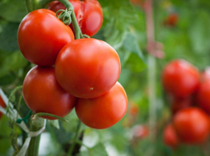 星空体育app官网入口:海利尔上交所上市